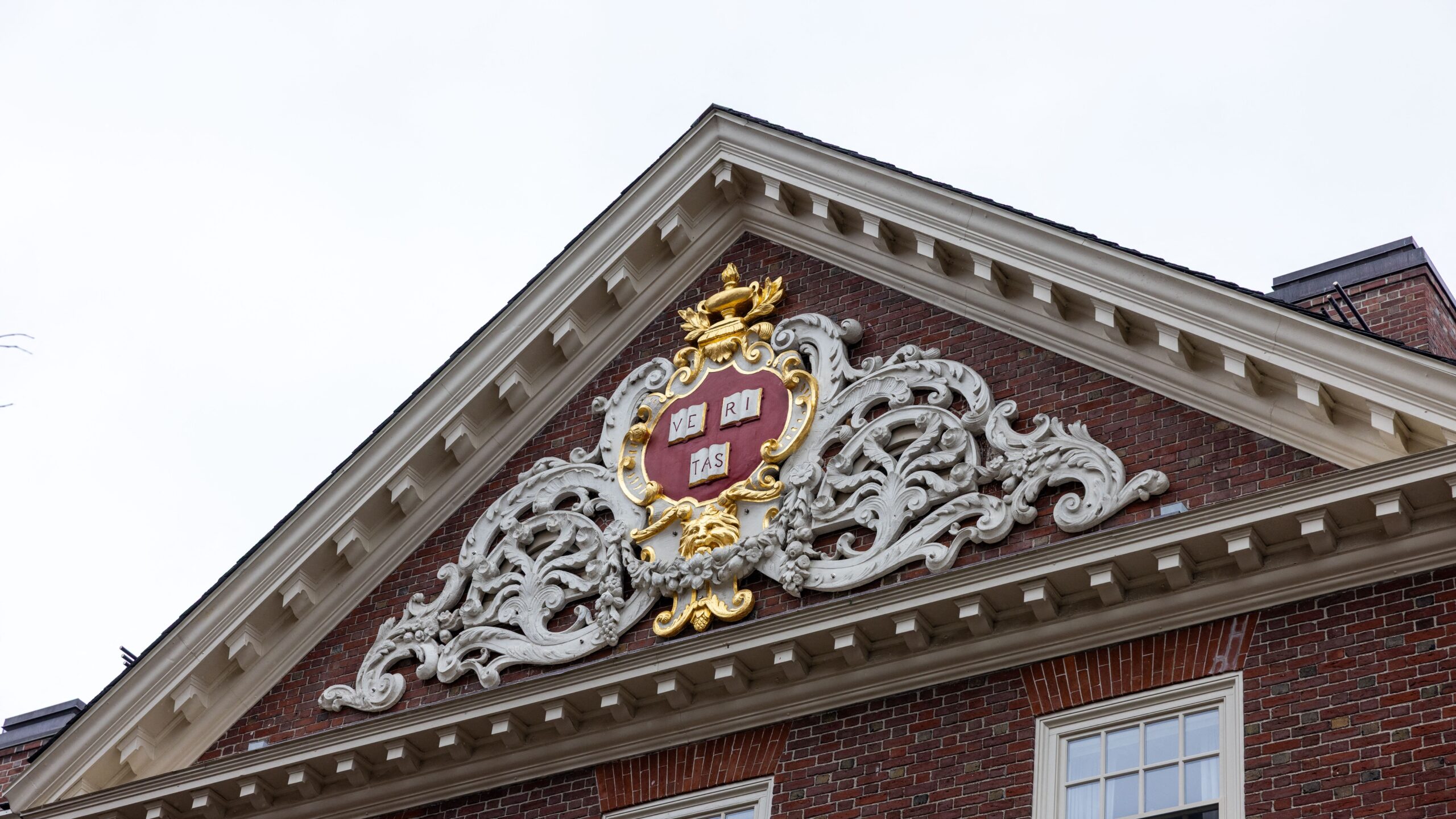 Magyarország szeme mélyebb tudományos kapcsolatok Harvard és Yale -val