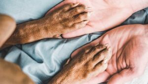 Amit az állatok haláluk előtt tesznek – egy állatorvos szerint szívszorító