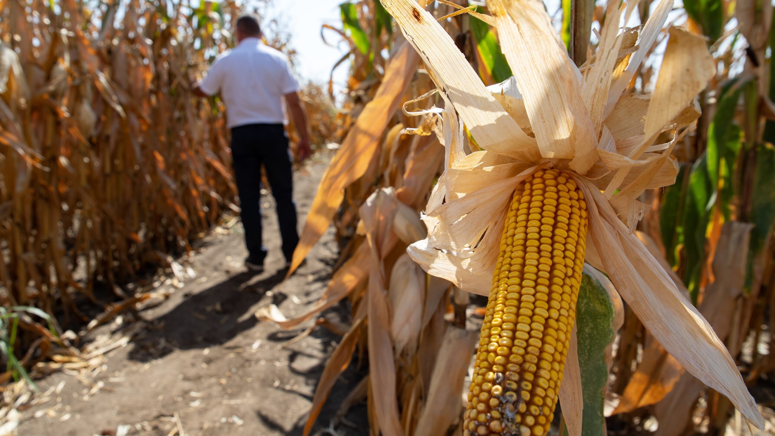 Magyarország a vidékfejlesztést stratégiai rendőrségi partnerséggel támogatja