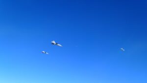 A magyar gripens az orosz fúvókák fölé csapódik Lettország közelében