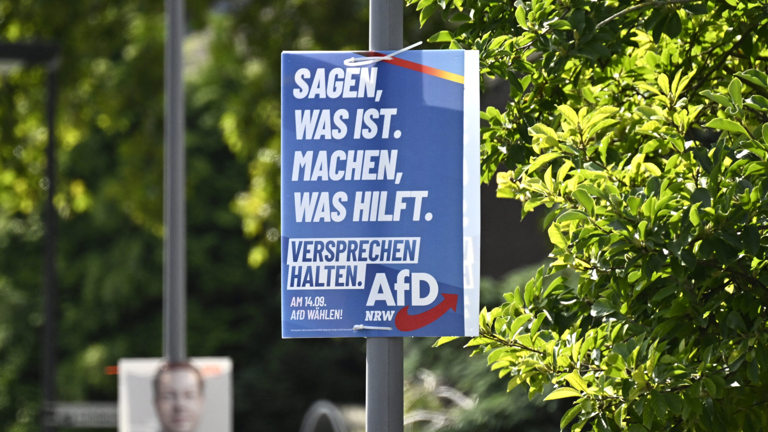 Az AFD jelölt halálának hétre emelkedik az NRW szavazása előtt, a rendõrség tagadja a bűncselekményt