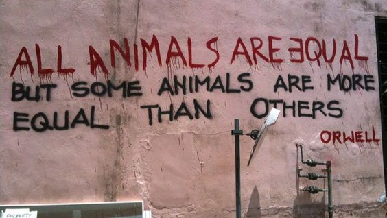 George Orwell, Animal Farm graffiti found in Singapore