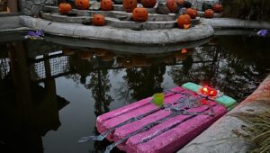 A Szegedi Állatkert átalakul a rémületek és állati kalandok éjszakájára