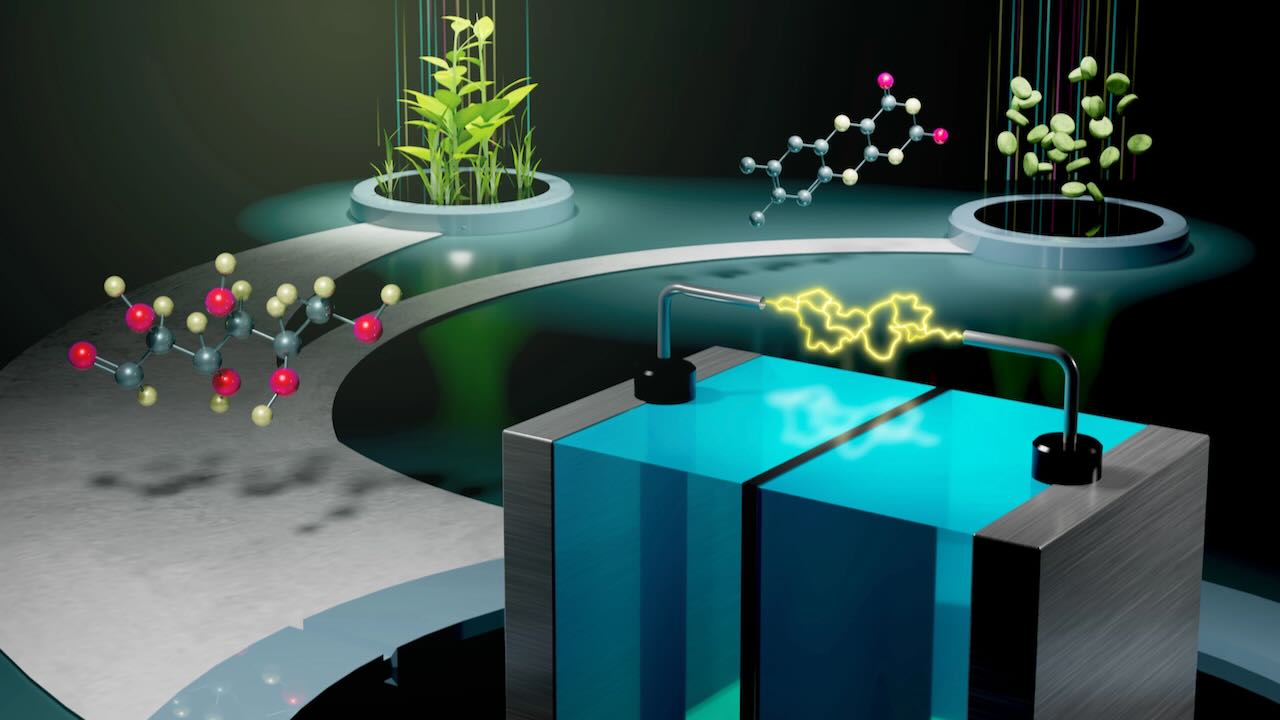 Láttad a Mátrixban: a tudósok az emberi test által ihletett cukor- és vitaminelemet dolgoznak ki