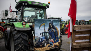 Brüsszel bíróság elé állítja Lengyelországot, Magyarországot és Szlovákiát az ukrán importtilalom miatt