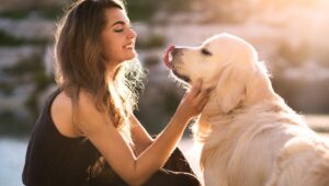 Hihetetlen fordulat: a 4-es még a legnagyobb szakértőket is megdöbbenti