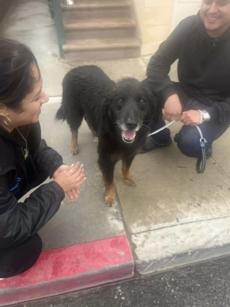 Megkönnyebbült ölelés a tengerparton