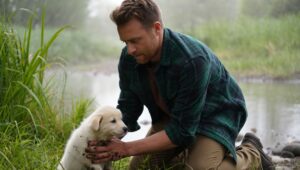 Egy magyar erdész sérült kölyökkutyát próbált megmenteni a Duna közelében de a szakértők egy rendkívül ritka védett fajt azonosítottak