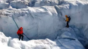 Hihetetlen antarktiszi felfedezés: 1 500 láb mélyen a jég alatt találtak homárszerű lényeket
