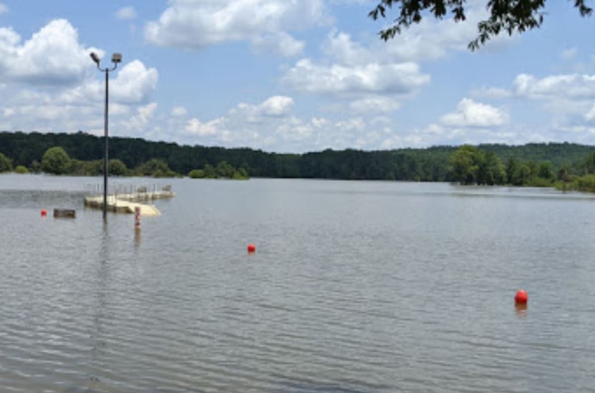 Un sauvetage émouvant