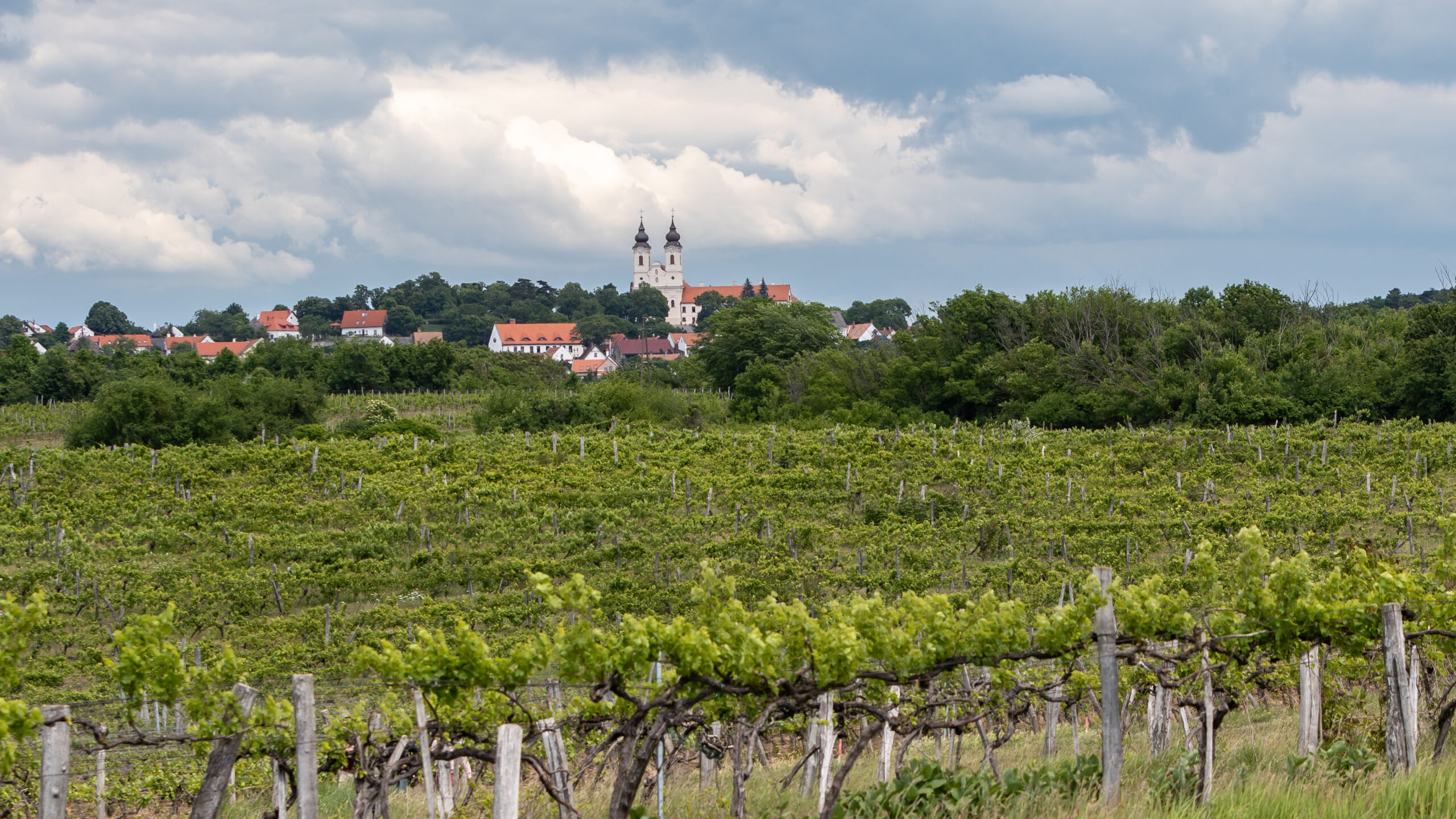 Magyarország rugalmas és kiszámítható uniós környezetvédelmi politikát követel