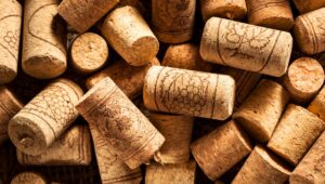 Ne dobd ki a borosdugókat: újrahasznosítva madarakat menthetsz – hihetetlenül hatásos!