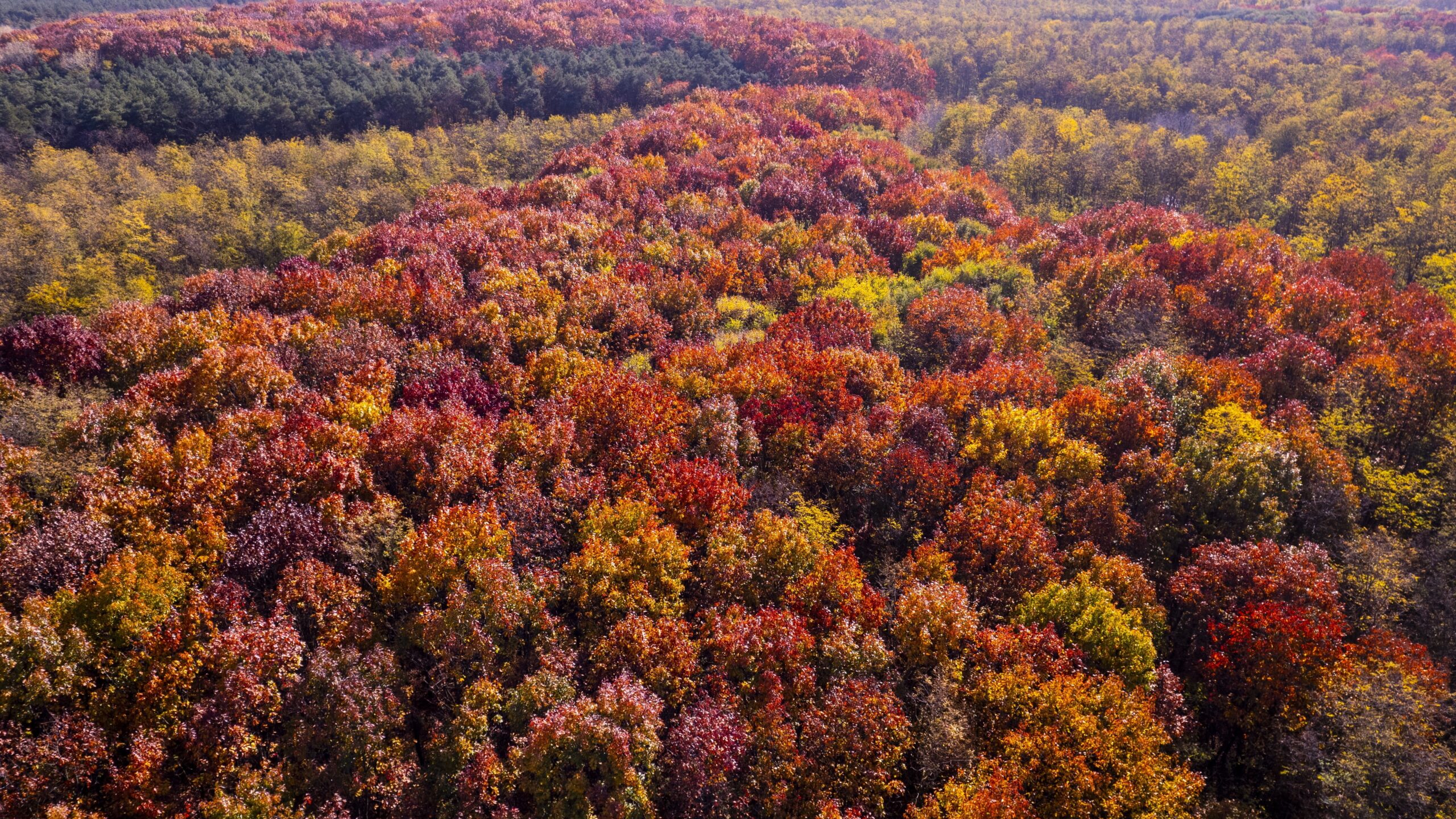 A klímacélok egyre távolabb esnek, figyelmeztetnek magyar szakértők