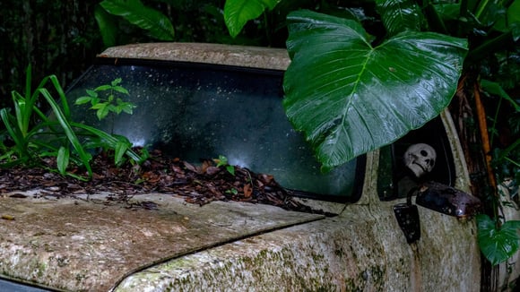 Az egykori pilóta járművei a sorsukra hagyva rohadnak.