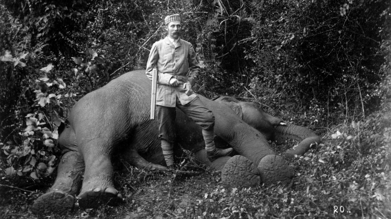 ‘My first elephant’ — Franz Ferdinand in front of a fallen elephant in Ceylon on 11 January 1893, during his trip around the world.