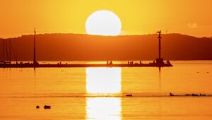 Az EU természet-helyreállítási joga: tagállami autonómia és együttműködés